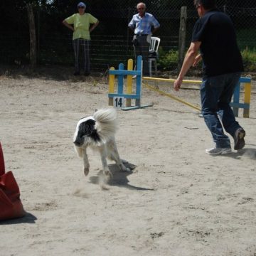 Fête fin d'année 2012 Dauhiné Éducation Canine Le Passage Nord Isère