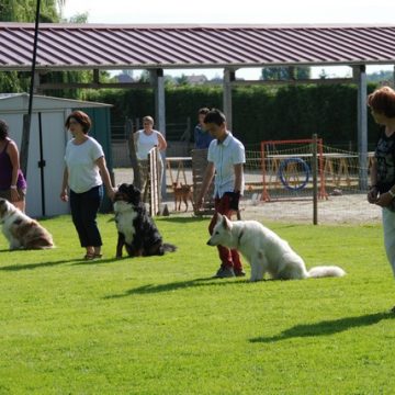 Fête annuelle 2015 dauphine education canine le passge nord isere