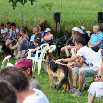 Fête annuelle 2016 dauphine education canine le passge nord isere (1)