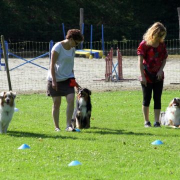 Fête annuelle 2016 dauphine education canine le passge nord isere (3)