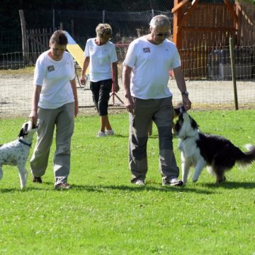 Fête annuelle 2016 dauphine education canine le passge nord isere (4)