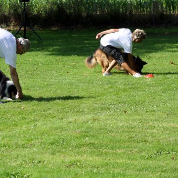 Fête annuelle 2016 dauphine education canine le passge nord isere (5)