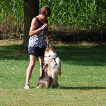 Fête annuelle 2017 dauphine education canine le passge nord isere (4)