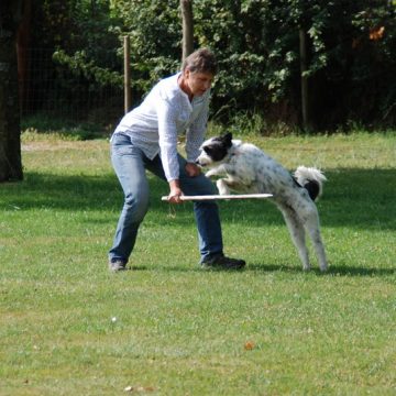 Fête annuelle 2017 dauphine education canine le passge nord isere (5)